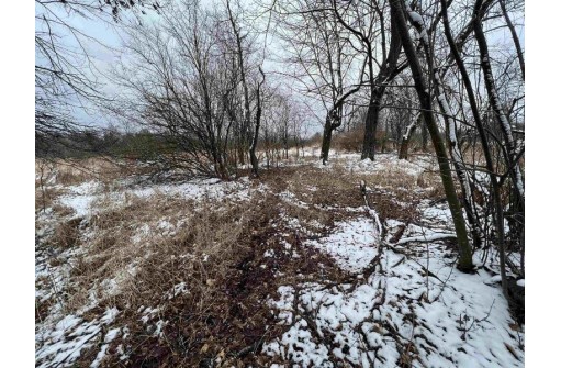 19.8+/- ACRES County Road C, Camp Douglas, WI 54618