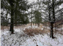 19.8+/- ACRES County Road C, Camp Douglas, WI 54618