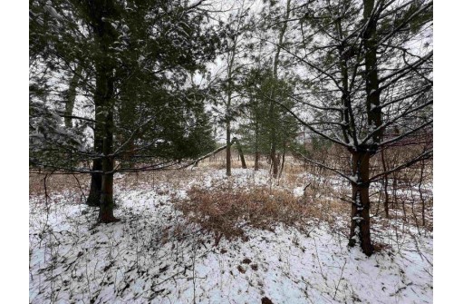 19.8+/- ACRES County Road C, Camp Douglas, WI 54618