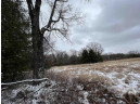 19.8+/- ACRES County Road C, Camp Douglas, WI 54618