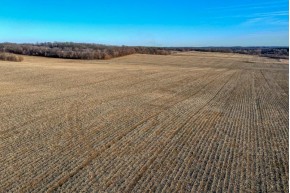 115.78 ACRES S Olson Rd