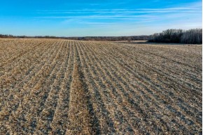 115.78 ACRES S Olson Rd