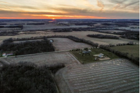 115.78 ACRES S Olson Rd