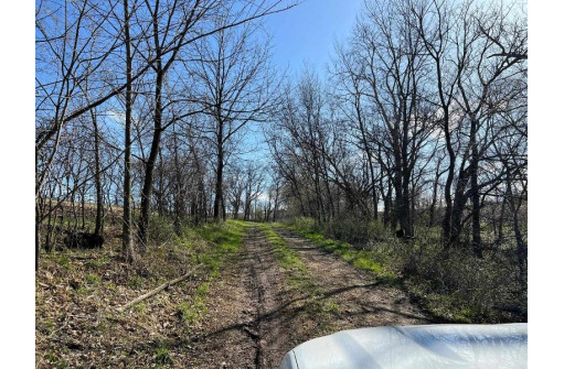 76 ACRES Walnut Rd, Monticello, WI 53570