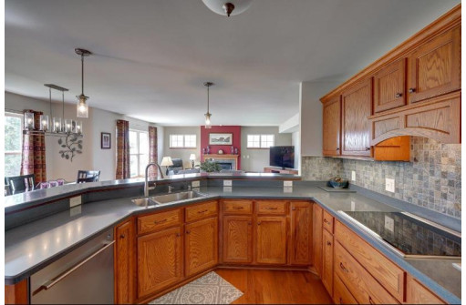 3841 Drumlin Ln, Madison, WI 53719