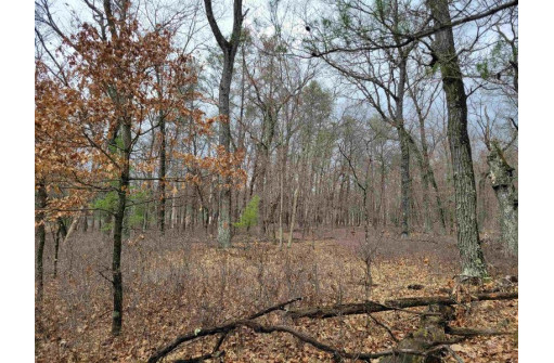 6 AC Wilderness Ct, Friendship, WI 53934