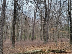 6 AC Wilderness Ct