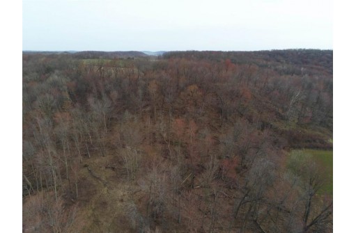 10 AC Owl Ave, Elroy, WI 53929