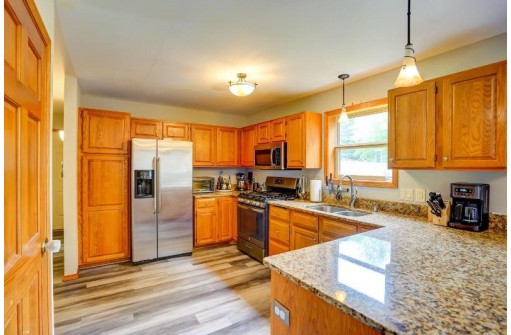 1241 Velvet Leaf Dr, Madison, WI 53719