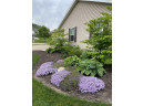 954 Parkwood Ln, Jefferson, WI 53549