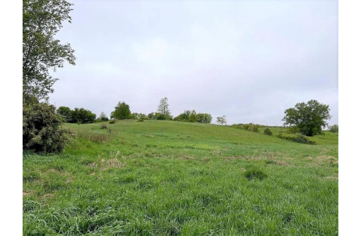 20 +/- ACRES S Brookville Rd, Viroqua, WI 54665