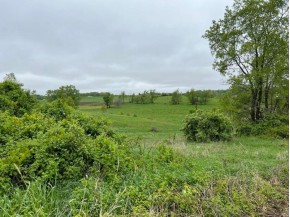 20 +/- ACRES S Brookville Rd