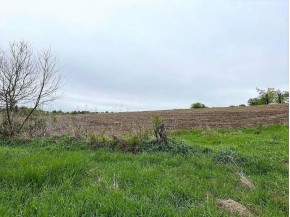 20 +/- ACRES S Brookville Rd