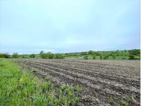 20 +/- ACRES S Brookville Rd