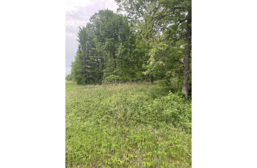 LOT 11 Hwy J/14th Ave, Friendship, WI 53934