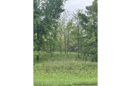 LOT 11 Hwy J/14th Ave, Friendship, WI 53934