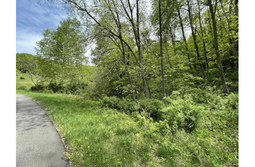 L1045 Leaning Tree Tr, La Valle, WI 53941