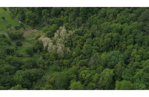 21.85 AC Valley Ave, La Farge, WI 54639