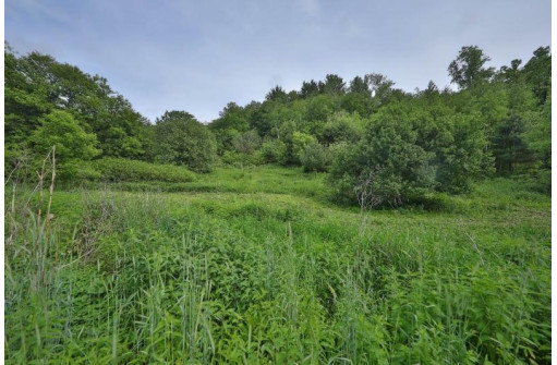 21.85 AC Valley Ave, La Farge, WI 54639