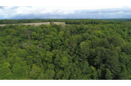 21.85 AC Valley Ave, La Farge, WI 54639