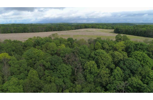 21.85 AC Valley Ave, La Farge, WI 54639