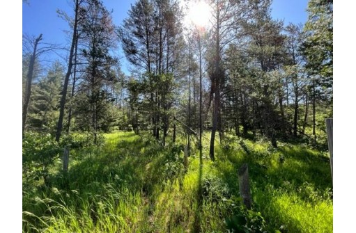 630 County Road Z, Nekoosa, WI 54457