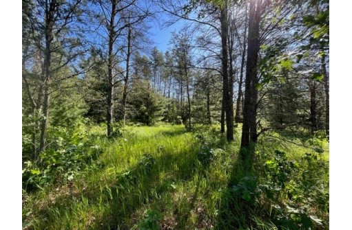 630 County Road Z, Nekoosa, WI 54457