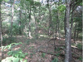 LOT 364-365 N Cypress Ln