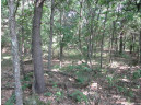 LOT 364-365 N Cypress Ln, Arkdale, WI 54613