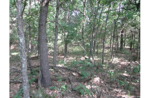 LOT 364-365 N Cypress Ln, Arkdale, WI 54613