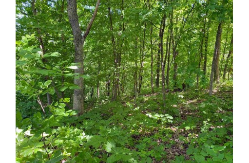 61316 Seclulded Apple Tr, Ferryville, WI 54628