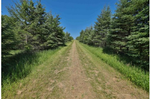 128.08 AC Fairview Rd, Avoca, WI 53506