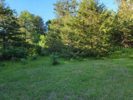 LOT 148 Buckhorn Rd