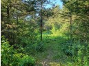 LOT 148 Buckhorn Rd, Reedsburg, WI 53959