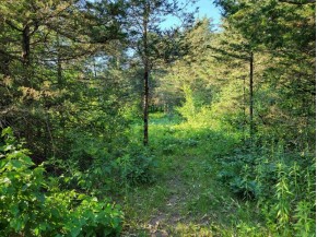 LOT 148 Buckhorn Rd