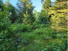 LOT 148 Buckhorn Rd