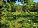 LOT 148 Buckhorn Rd, Reedsburg, WI 53959