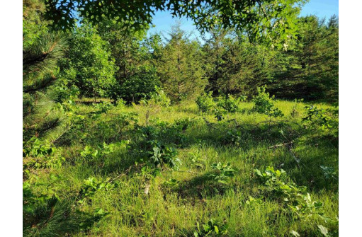 LOT 148 Buckhorn Rd, Reedsburg, WI 53959