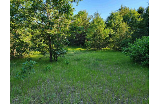 LOT 148 Buckhorn Rd, Reedsburg, WI 53959