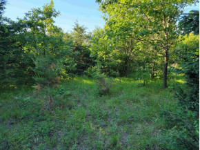 LOT 148 Buckhorn Rd