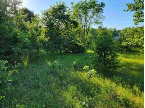 LOT 148 Buckhorn Rd