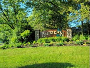 LOT 148 Buckhorn Rd