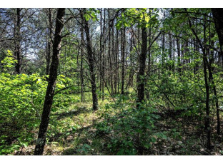 LOT 2 23rd St Necedah, WI 54646