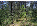 LOT 2 23rd St, Necedah, WI 54646