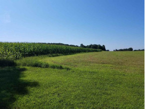 53.551 ACRES County Road A