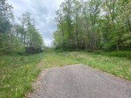 33.77 AC County Road A & Bunker Rd