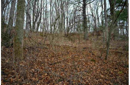 3.71 AC Franklin St, La Valle, WI 53941