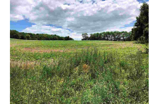 N6645 County Road J, Princeton, WI 54968