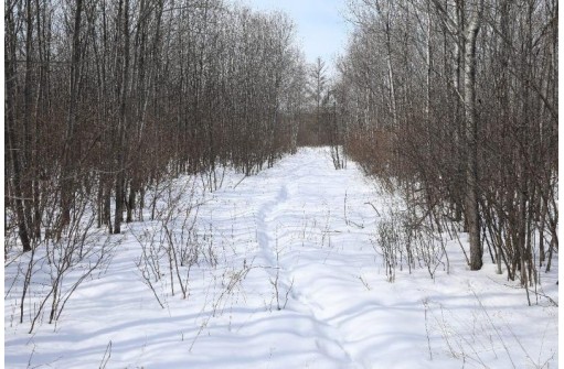 79.5 AC Popple Rd, Antigo, WI 54409