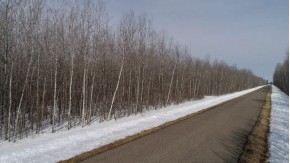 79.5 AC Popple Rd